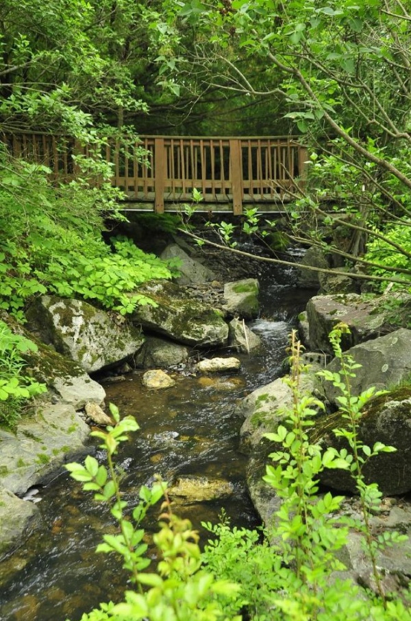 Stay Berkshires image 14